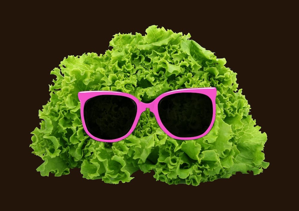 Mr Salad