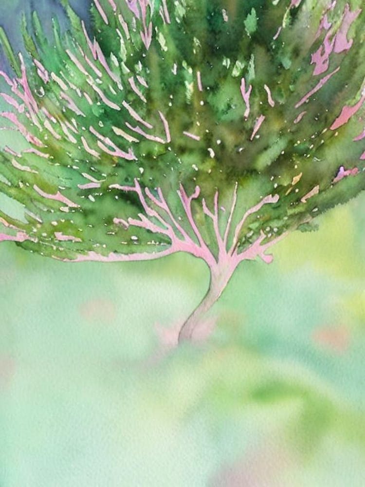 Acropora Millepora Iii Storybook Watercolour