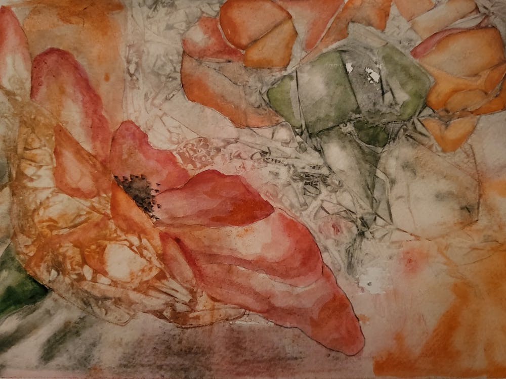 Poppies