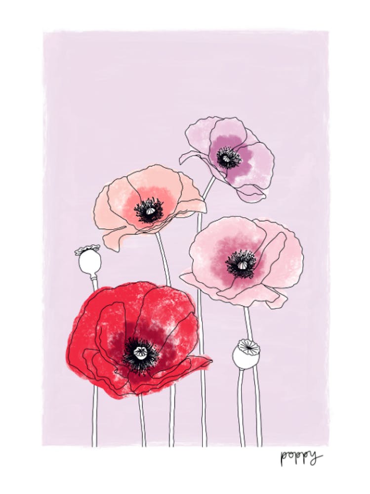 Poppies