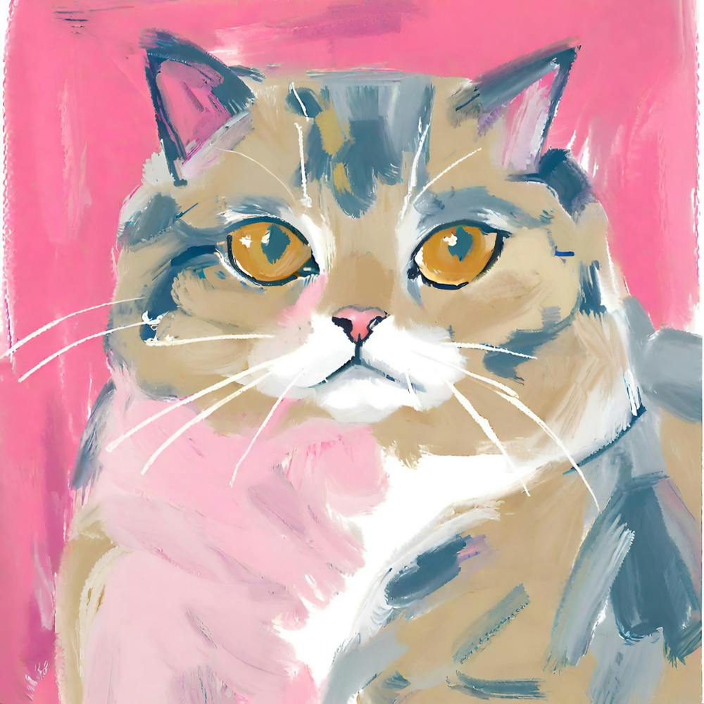 Persian Cat 03