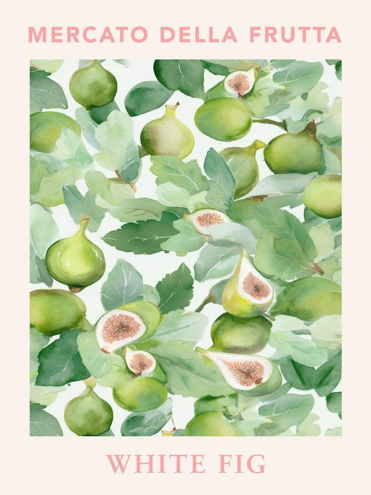White Fig Fruit Market Poster