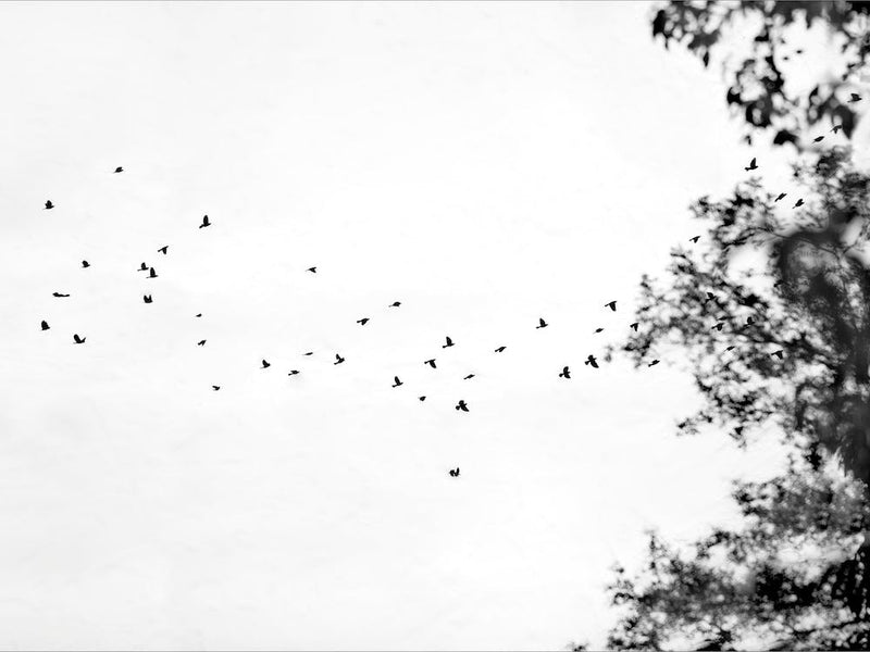 Land Ink 2