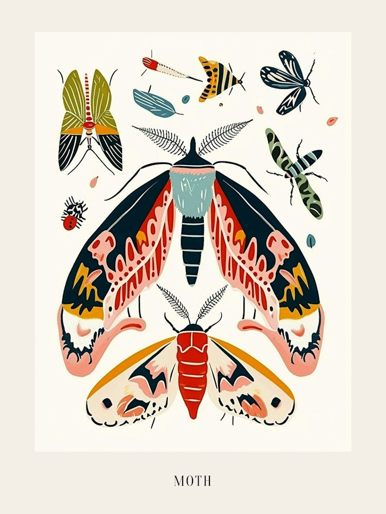 Colourful Insect Illustration Moth 16 Poster