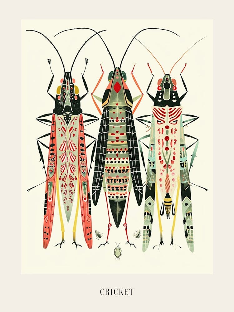 Colourful Insect Illustration Cricket 9 Poster