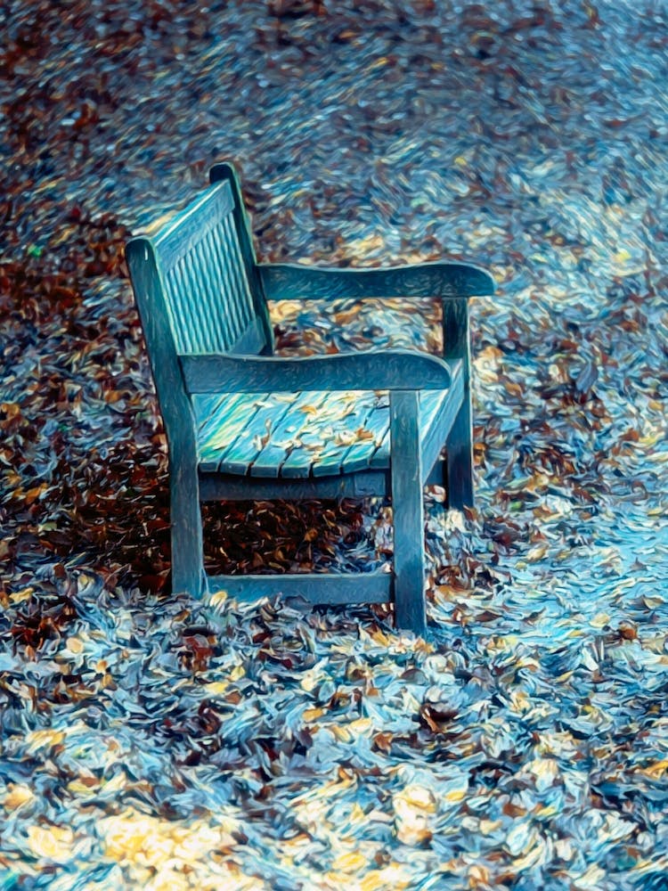 Park Bench In Autumn Leaves