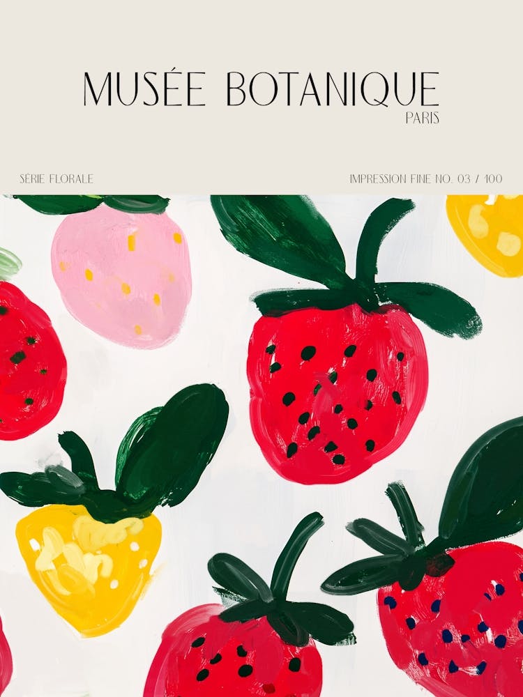 Musee botanique no 35