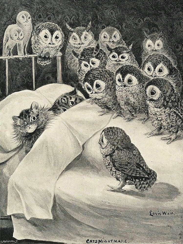 Cat's Nightmare by Louis Wain Vintage Victorian Famous Cats Illustration Owl Surprise Retro Gallery Drawing Remastered High Definition Witchy Funny Humour