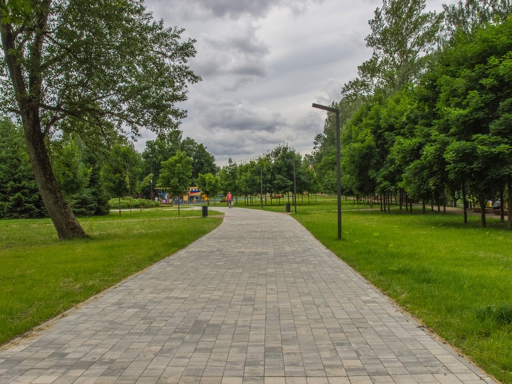Park In The Park