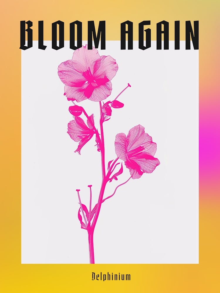 Hot Pink Delphinium 1 Poster