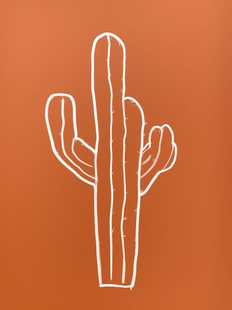 Cactus Line Drawing Opuntia Fragilis 2