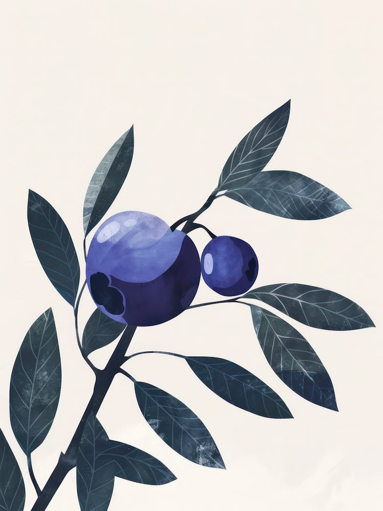 Blueberries Close Up Illustration 3