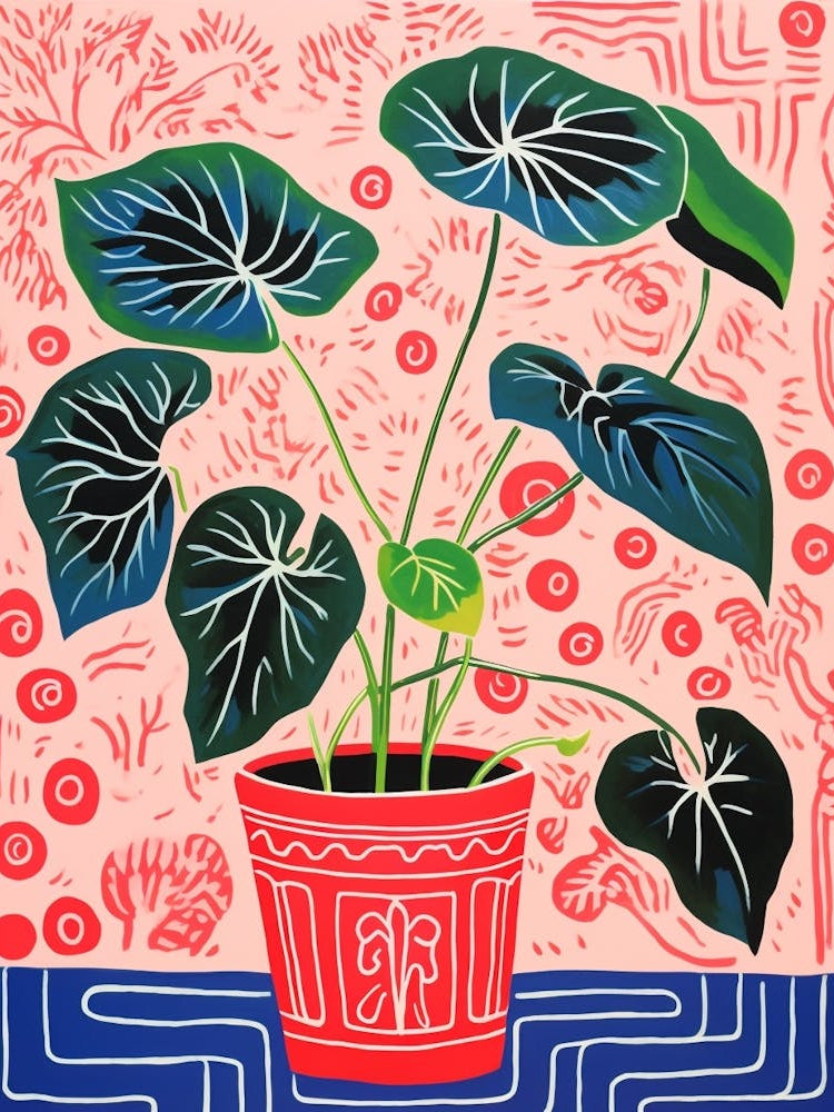 Pink And Red Plant Illustration Philodendron 8