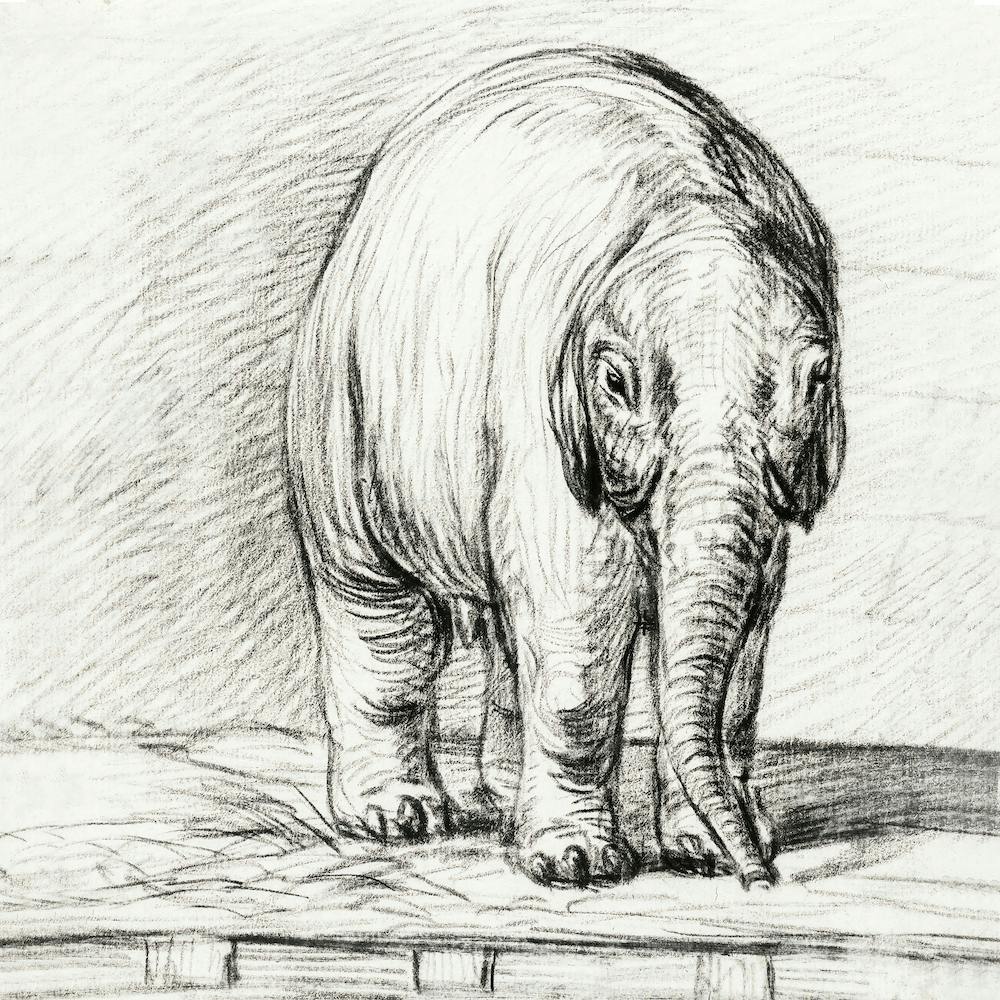 Standing Elephant, Jean Bernard