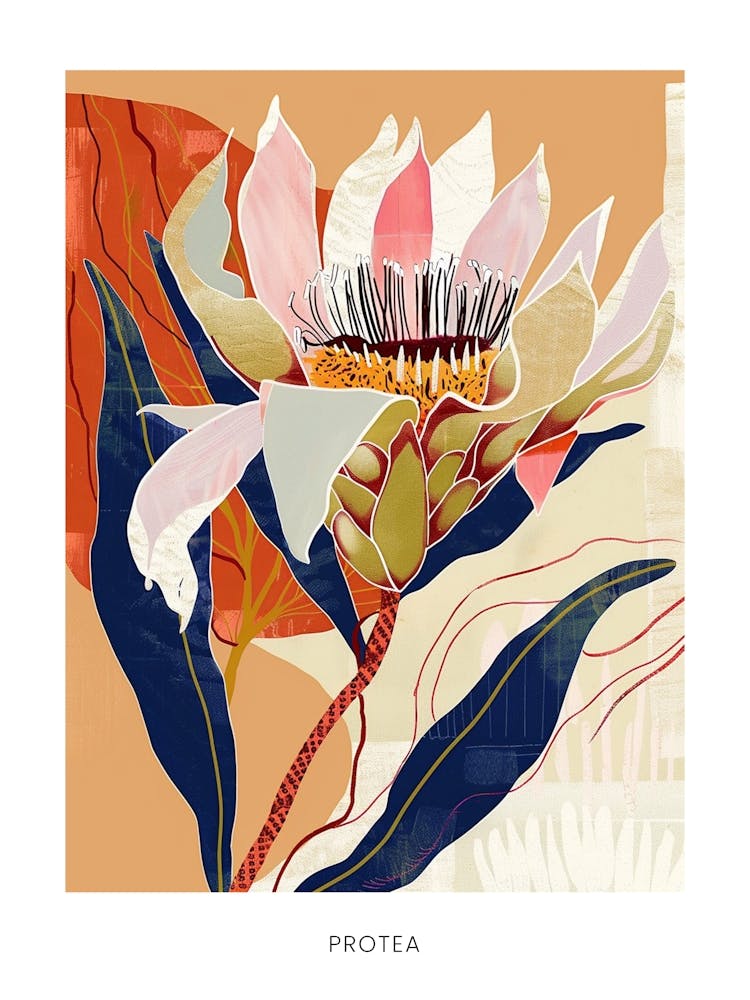 Colourful Flower Illustration Poster Protea 2