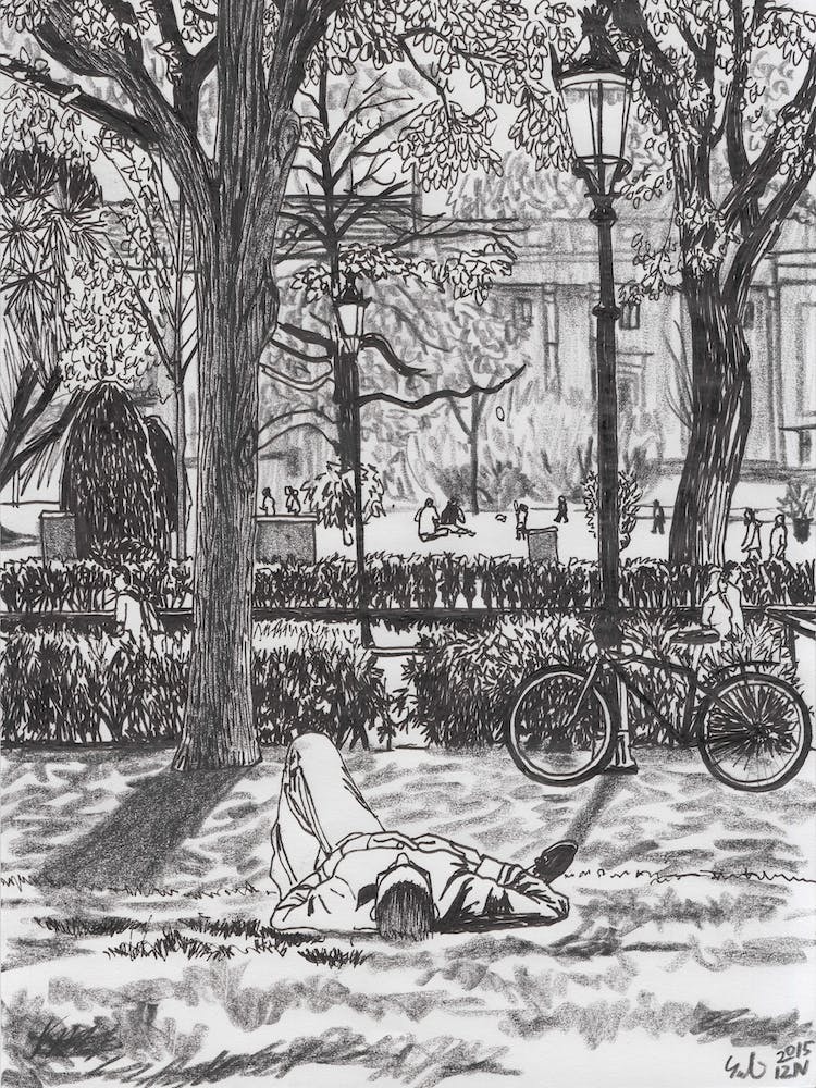 The Light In The Park