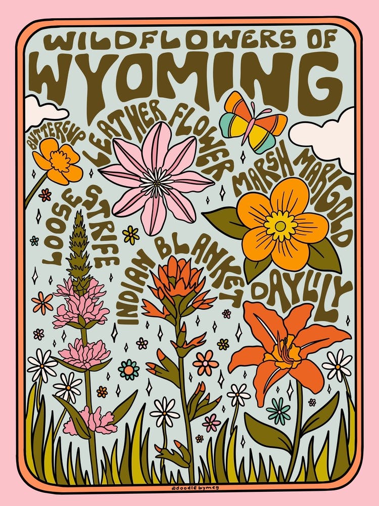 Fleurs Sauvages du Wyoming