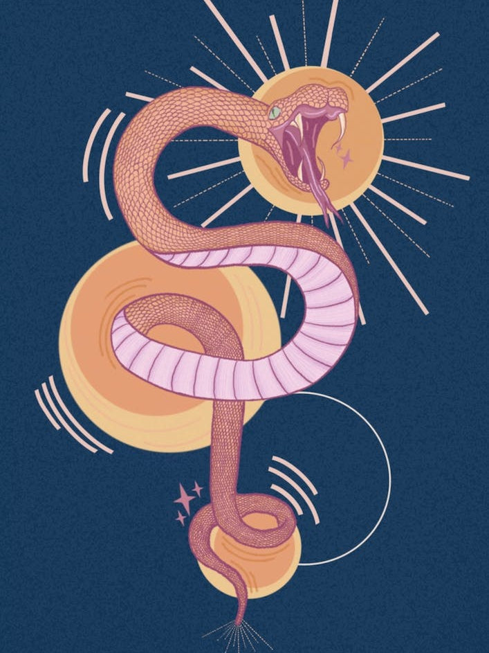 Navy Colourful Snake Illustration