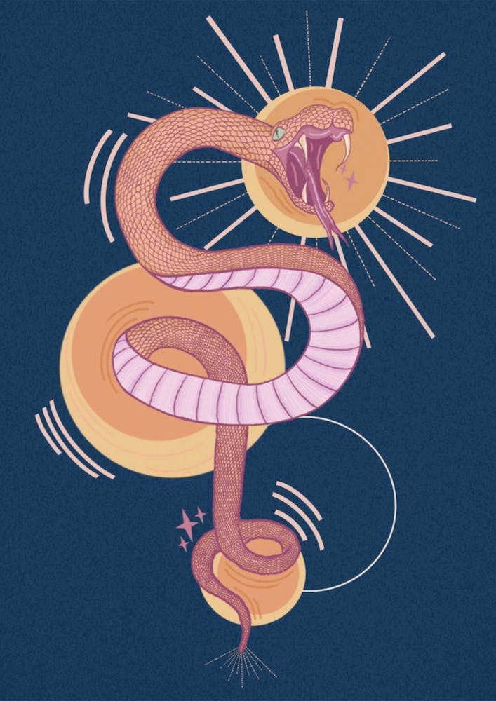 Navy Colourful Snake Illustration