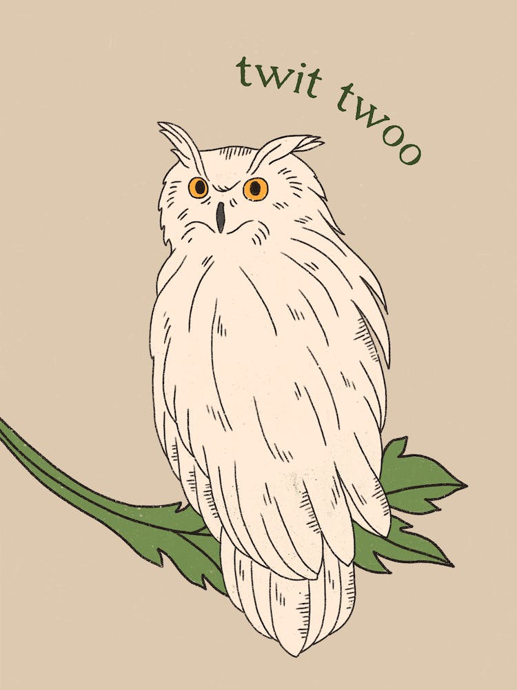 Twit Twoo Owl