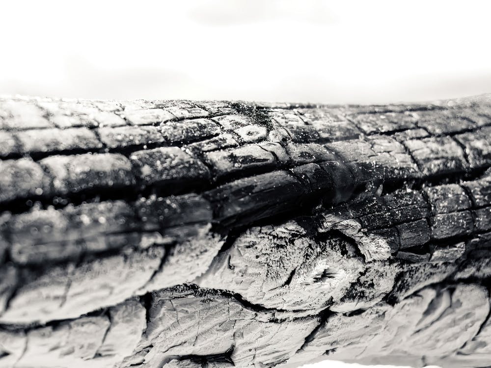Log Burned In Stones Bonfire