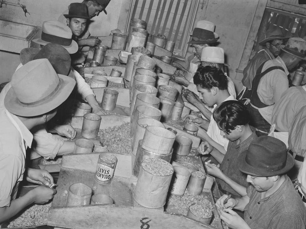 Mexican Pecan Shellers Removing Meats From Shell, Union Plant, San Antonio, Texas By Russell Lee