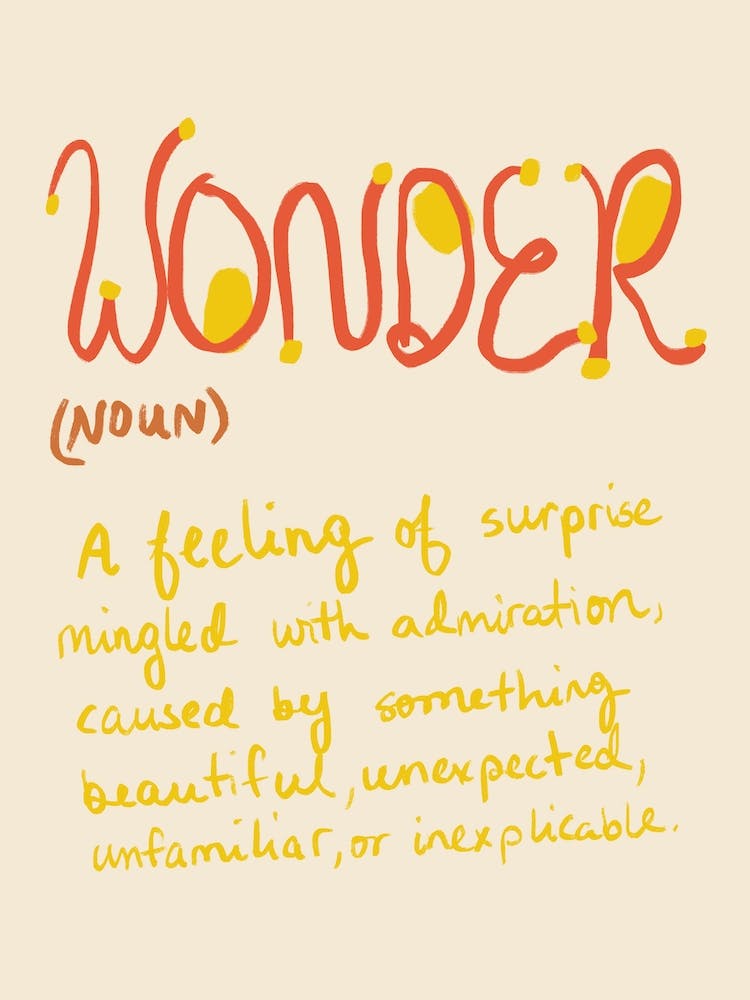 Wonder