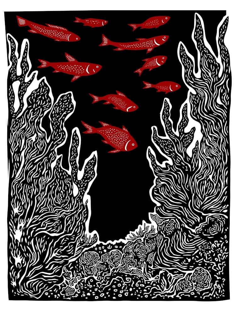 Poisson Rouge Dans La Mer