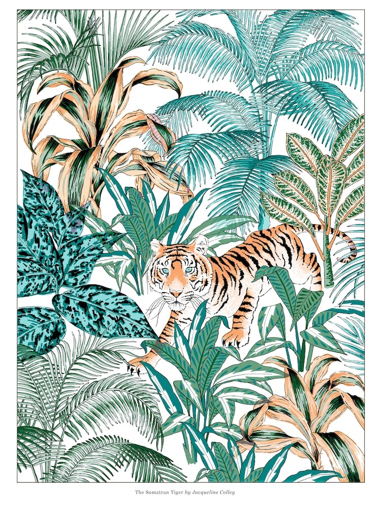 Sumatra-Tiger