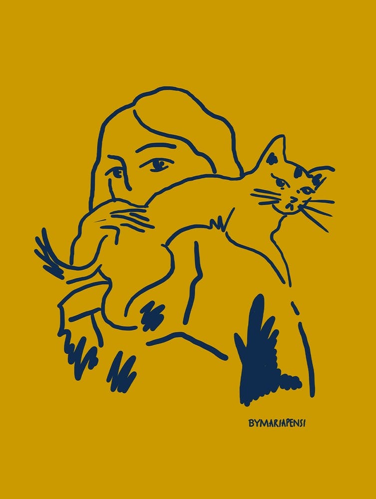 Cat in yellow