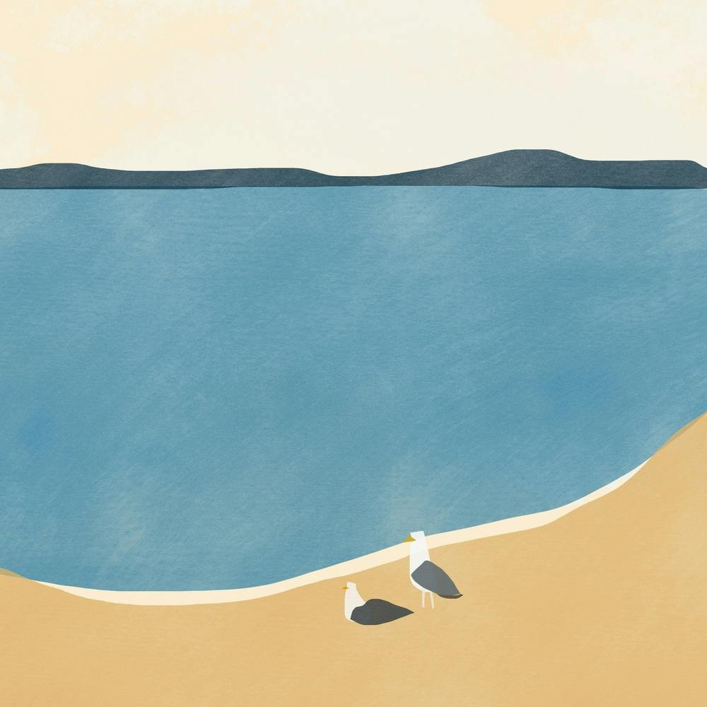 Seagull Couple Square