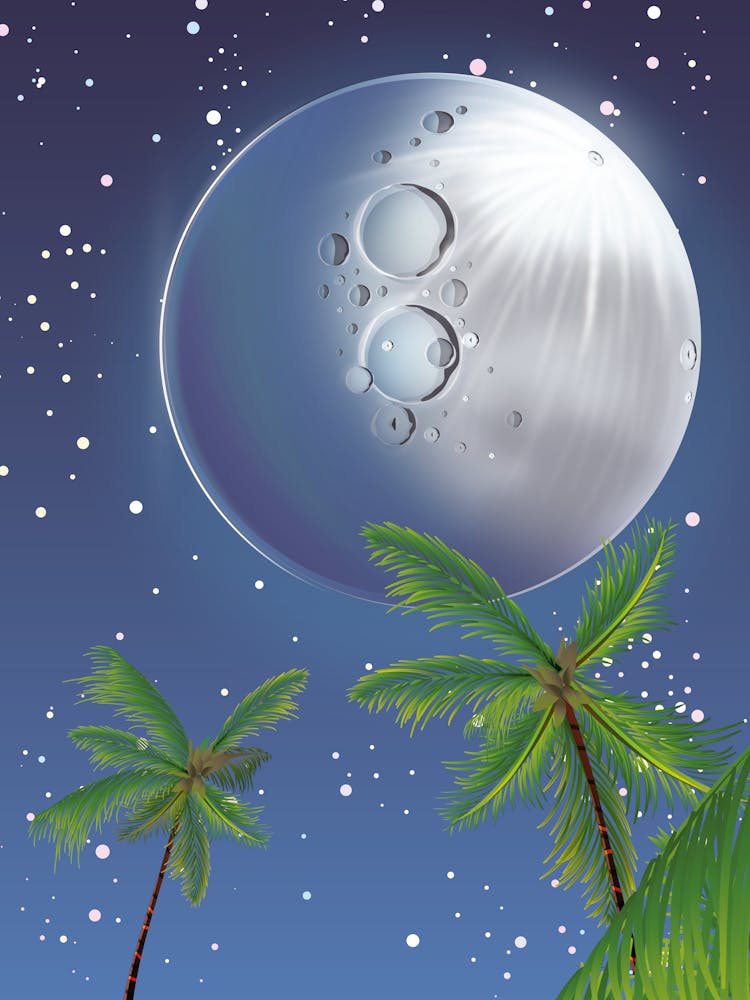 Moon And Palm Trees 1