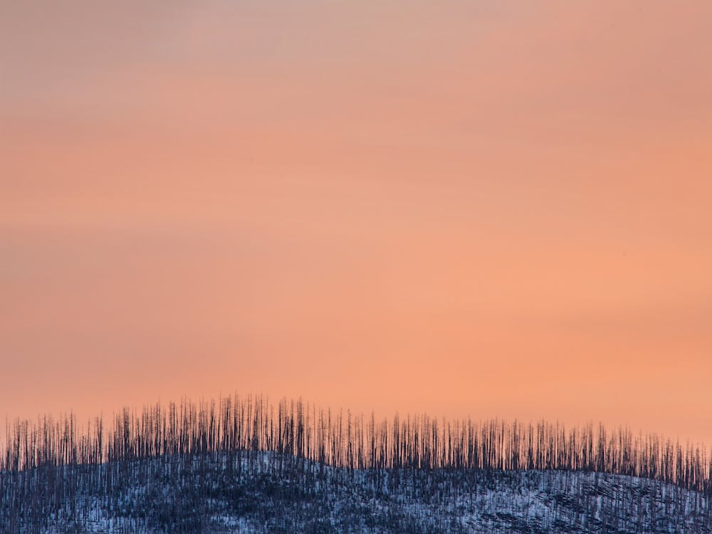 Pastel Sunrise Over Howe Ridge Montana