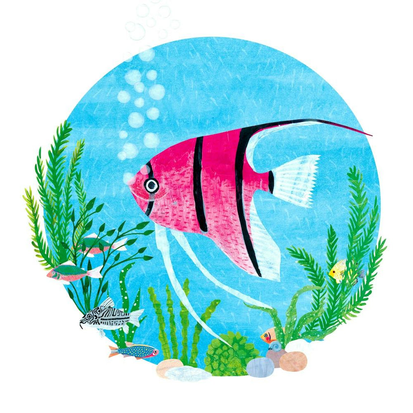 Angel Fish