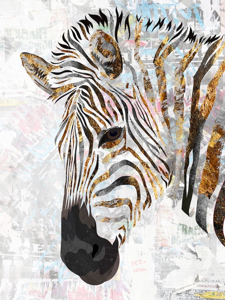 Zebra Canvas  Print