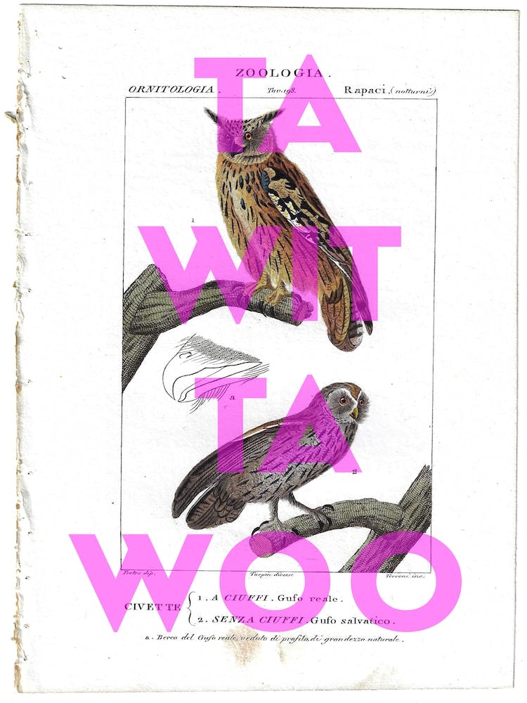Ta Wit Ta Woo Vintage Owl