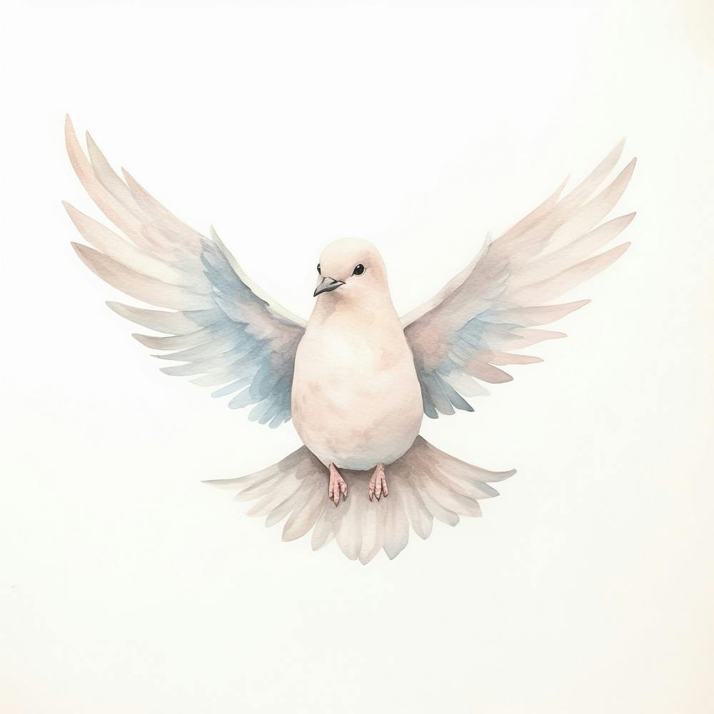 Dove Watercolor Painting