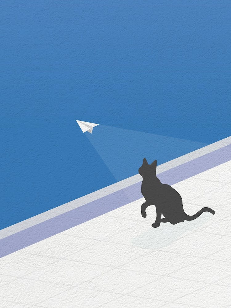 Vintage Minimal Art Cat Watching paper Plane