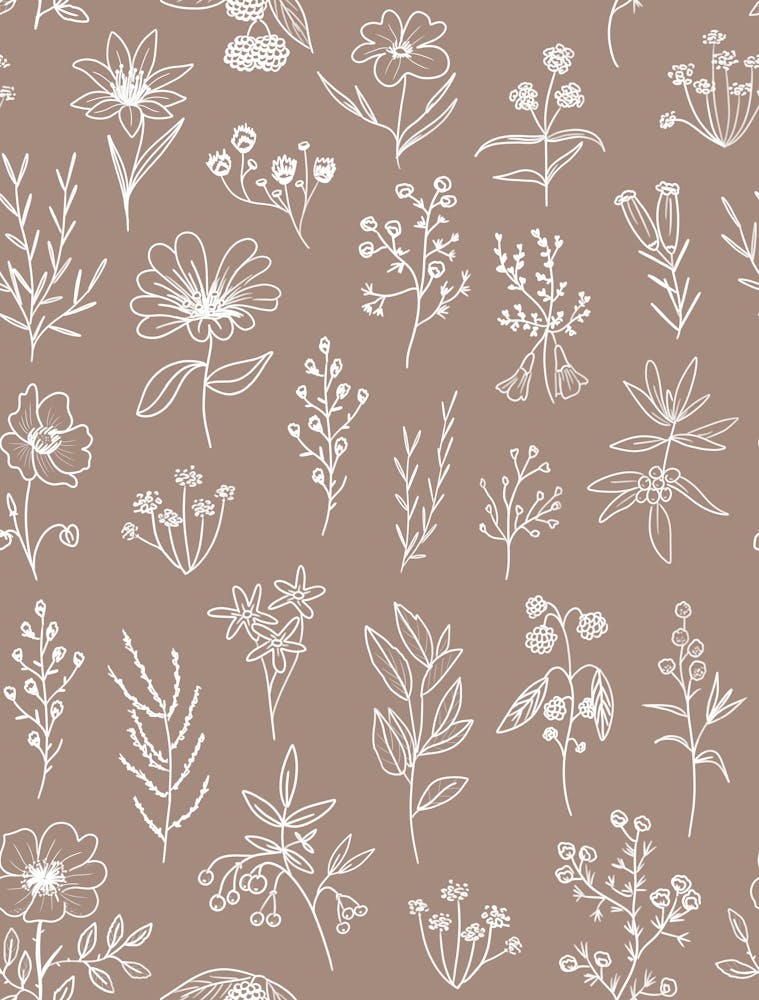 Little Patagonian Wildflowers - Braun
