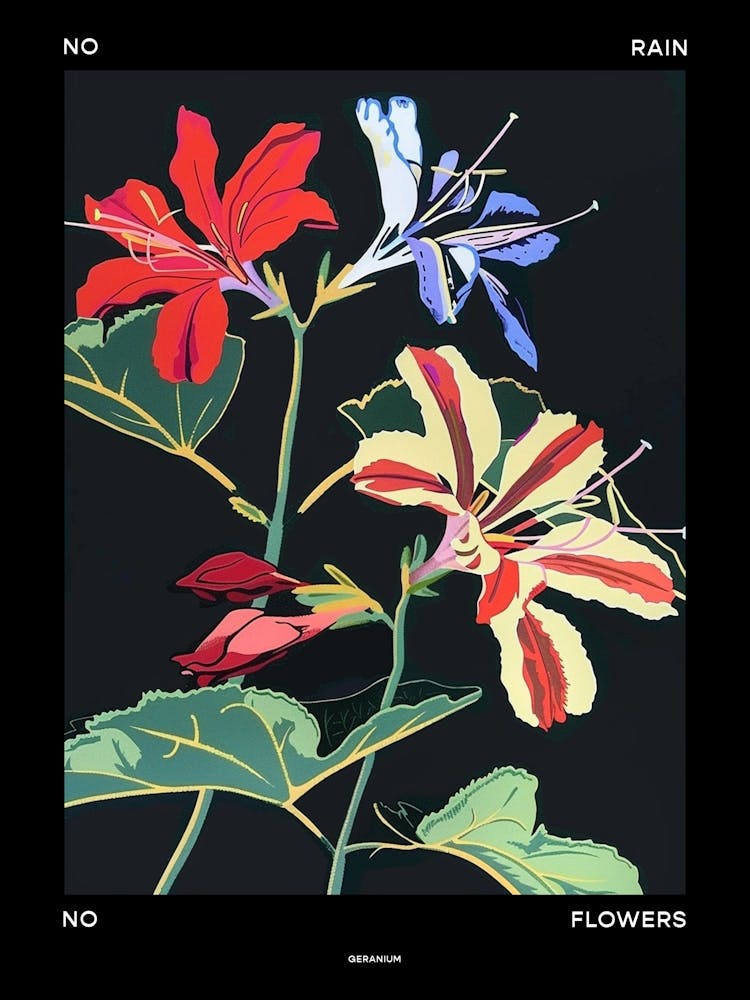 No Rain No Flowers Poster Geranium 3