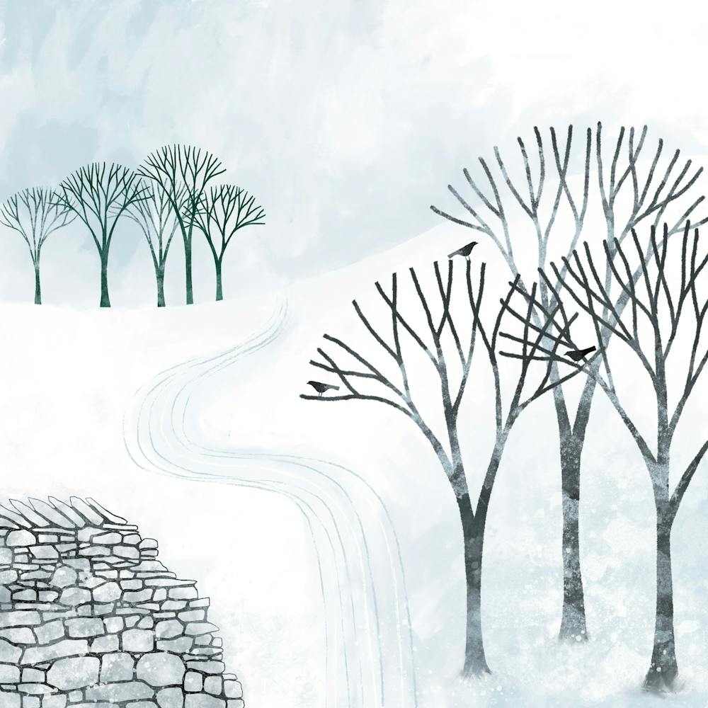 More Snow to Come Winter Landscape