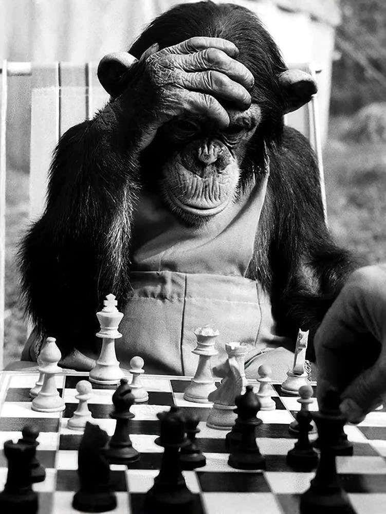 Monkey Chess Checkmate