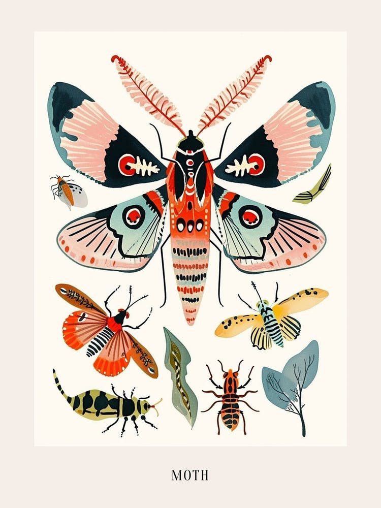 Colourful Insect Illustration Moth 18 Poster