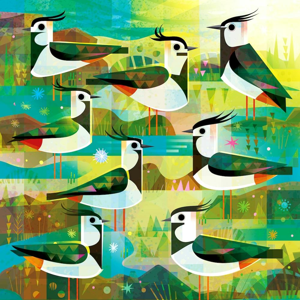 Lapwings Square