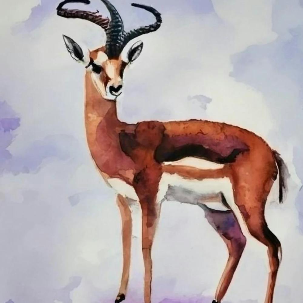 Antelope