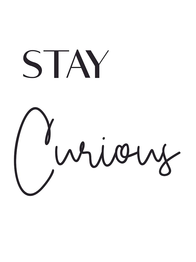 Stay Curious