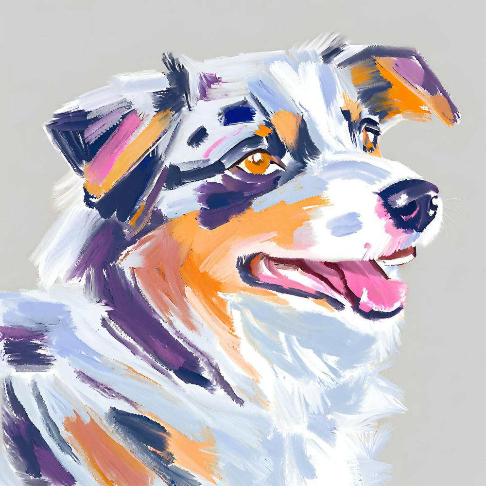 Australian Shepherd 03