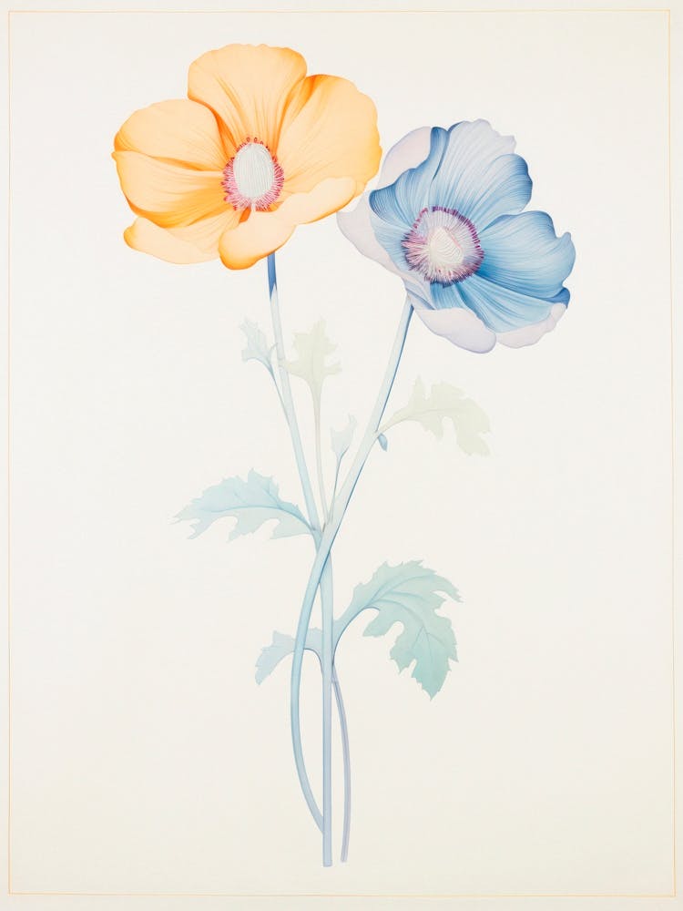 Two Flowers. Yellow and Blue