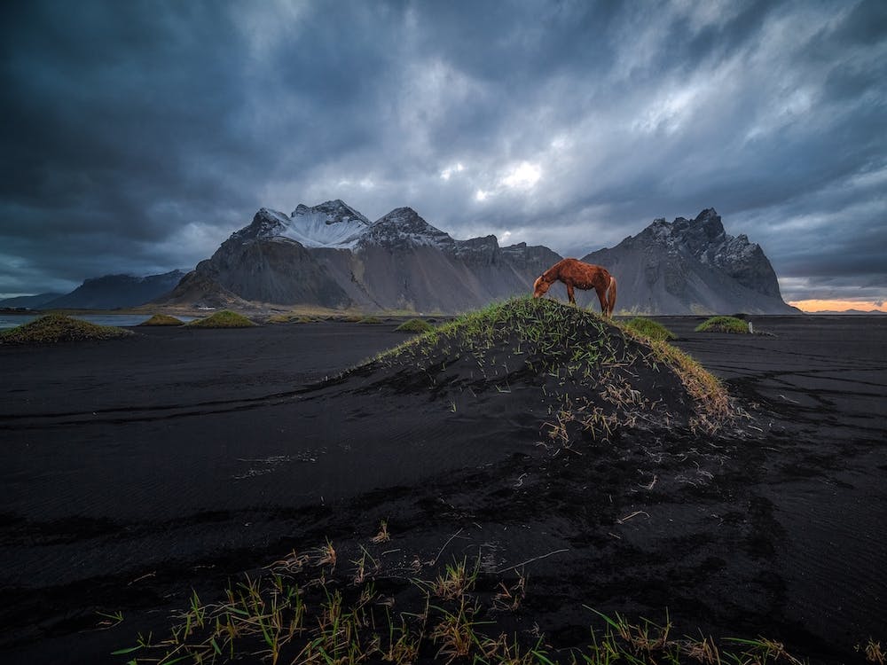 Vestrahorn