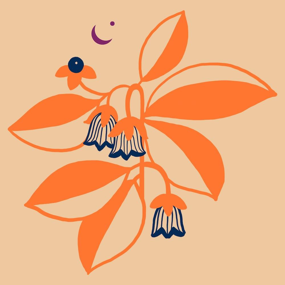 Belladona Summer Square